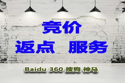 成功案例：专业SEM托管助力电商销售额翻倍